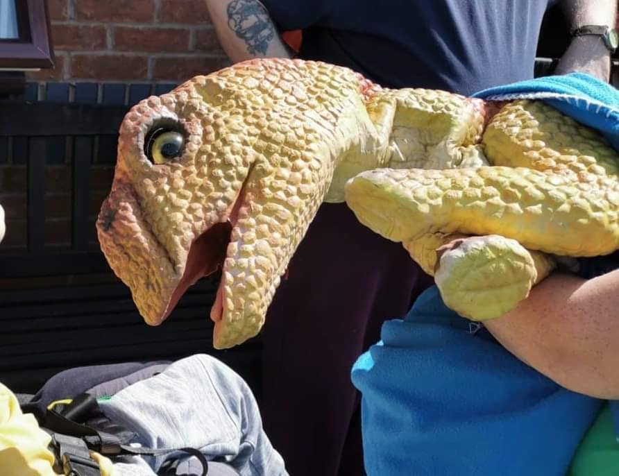Ranger Mike's Baby... - Ranger Mike's Baby Dinosaurs