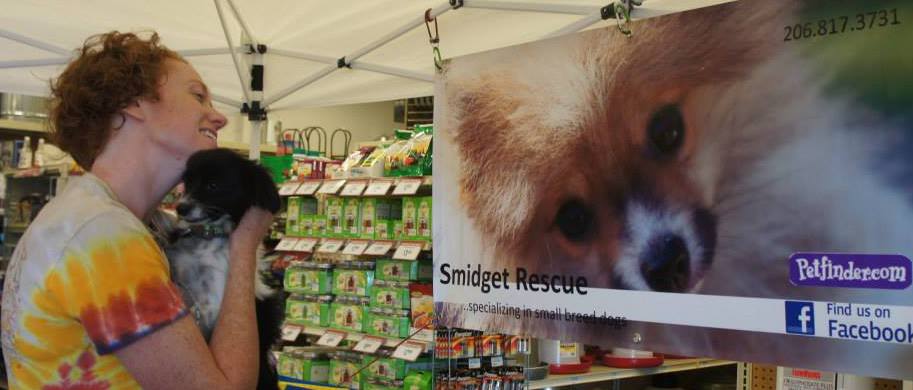 Smidget Rescue - Smidget Rescue added a new photo.