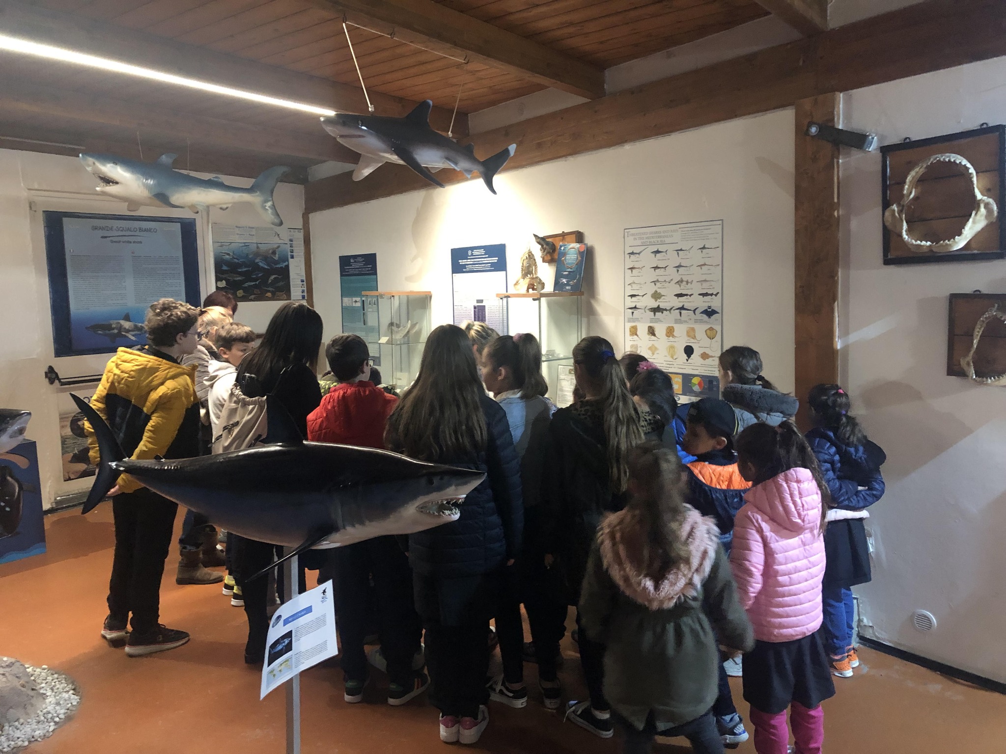 Paternoster Mare Da 120cm Per Merluzzo E Salmone - 3 Ami Taglia 5/0 - Dega/Jenzi