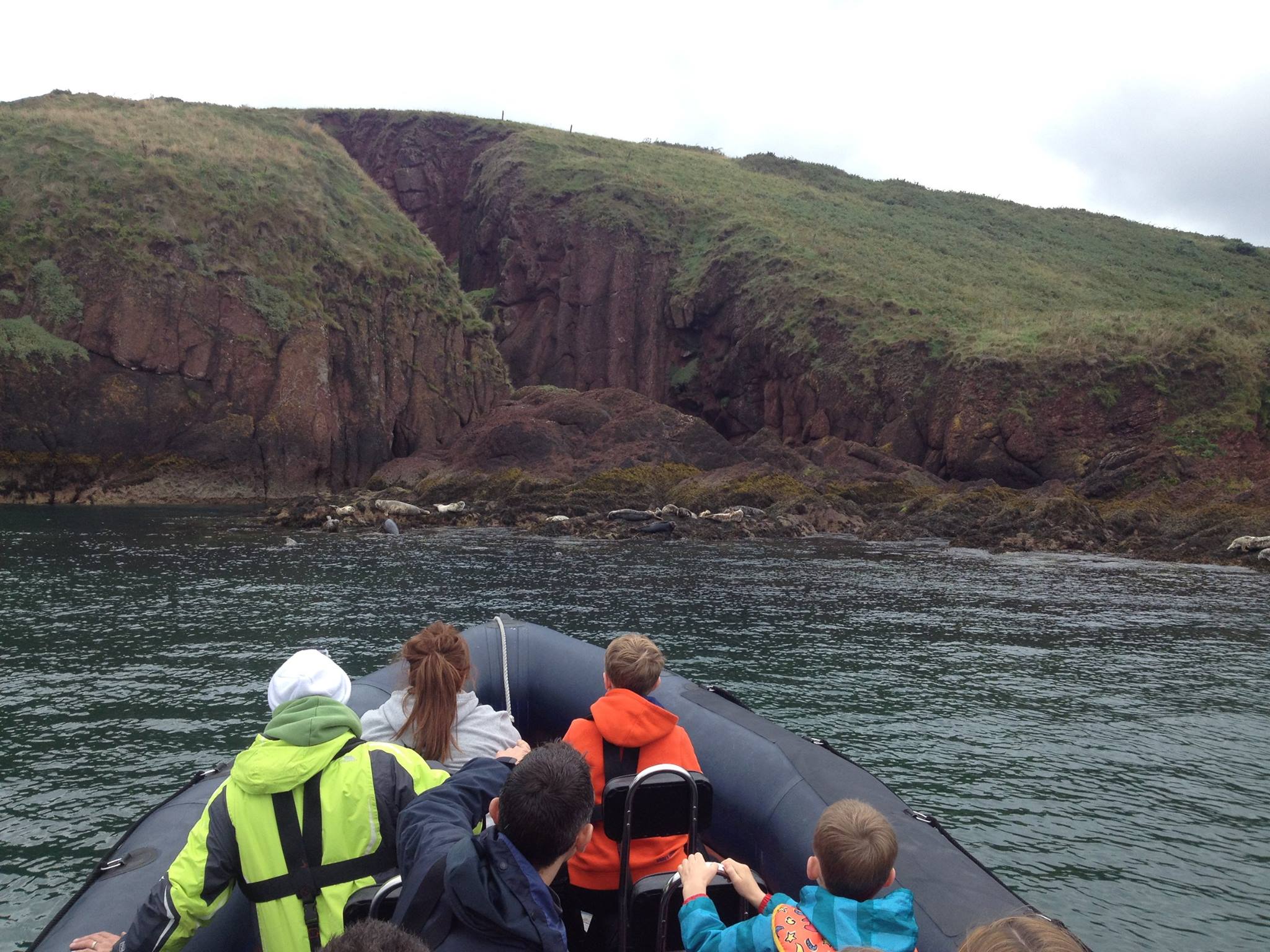 Saundersfoot Seal Safari | Saundersfoot