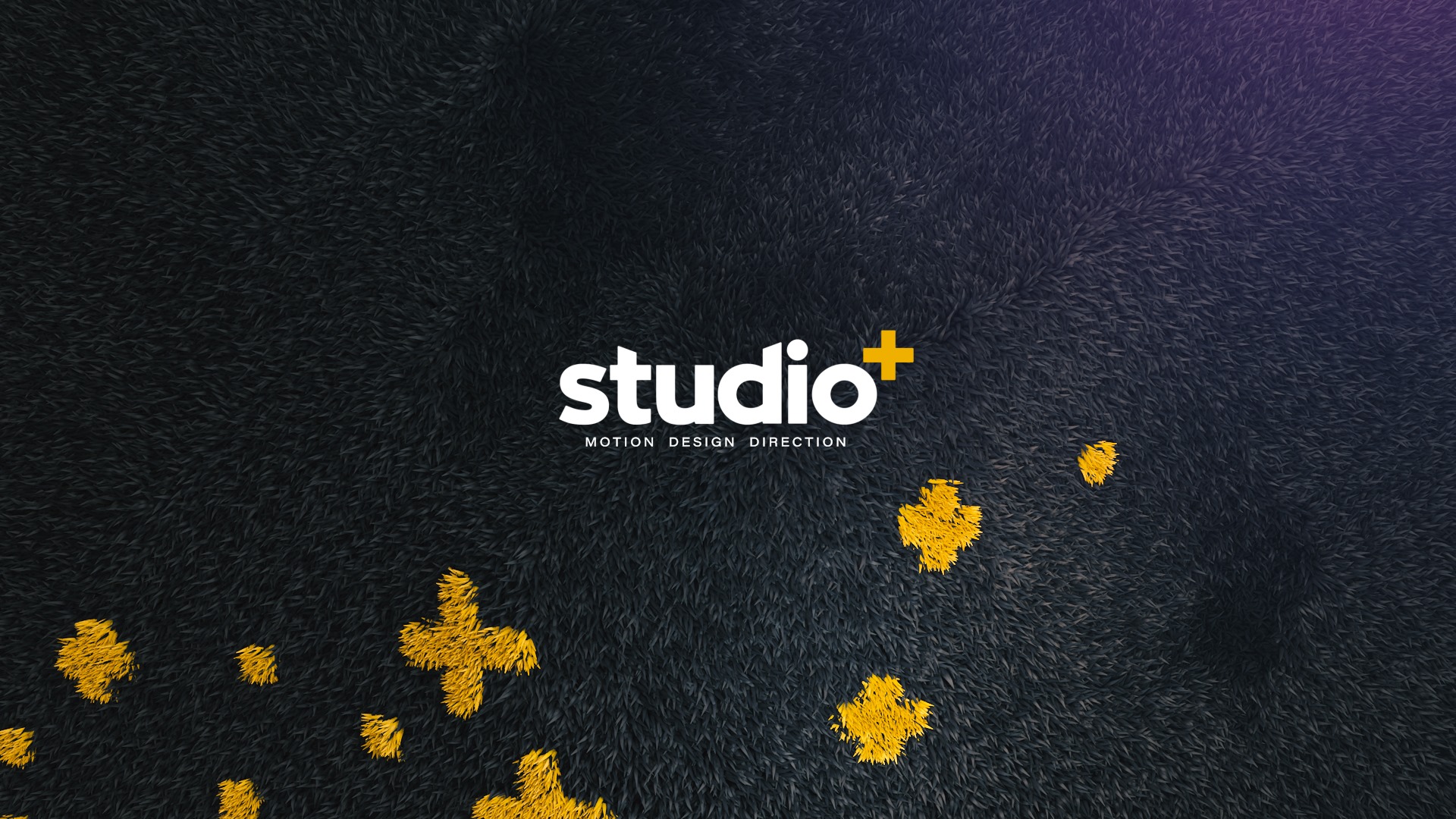 Studio+