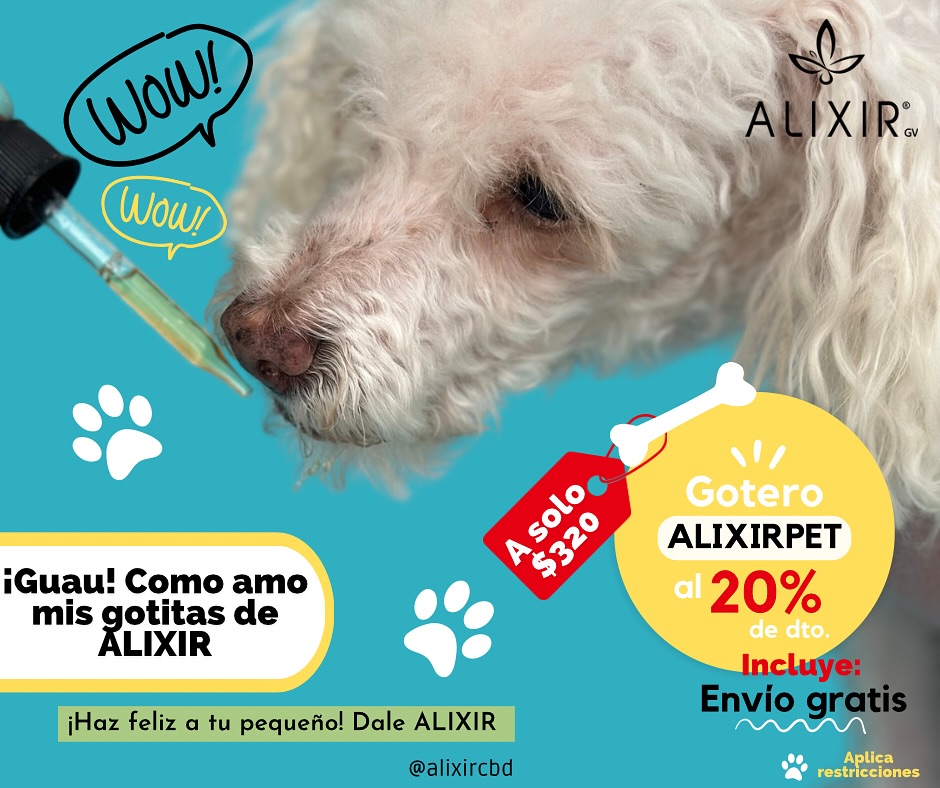 Alixir GV | Mazatlán