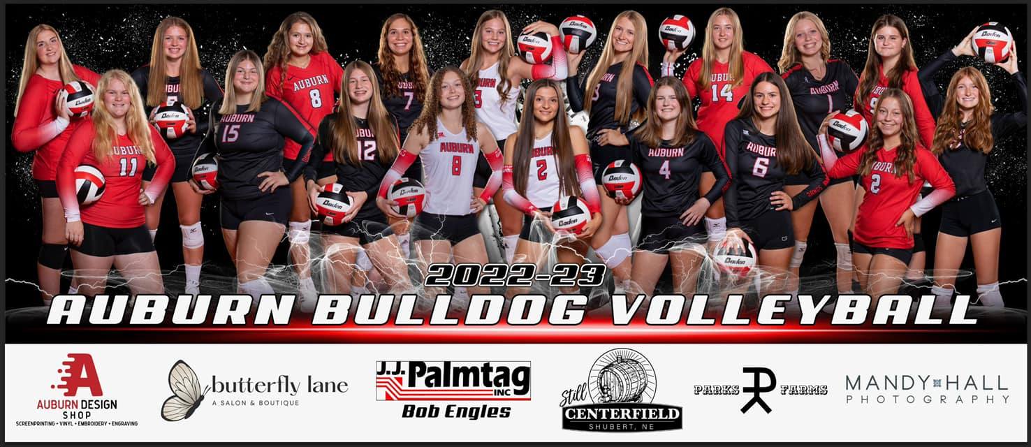 Auburn Bulldogs Volleyball