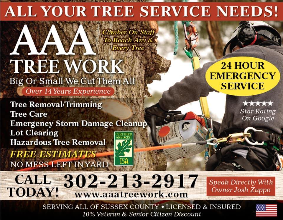 AAA Tree Work