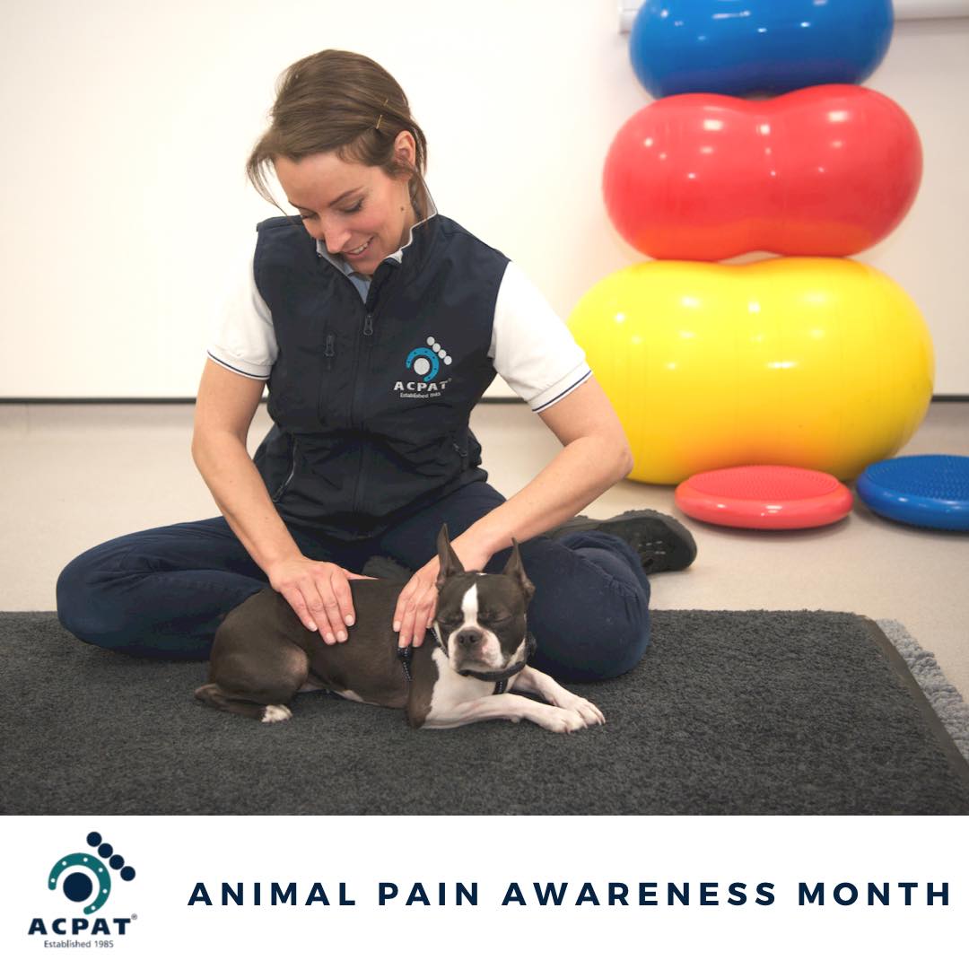 Sarah Edge Chartered Physiotherapist and ACPAT Physiotherapist | Facebook