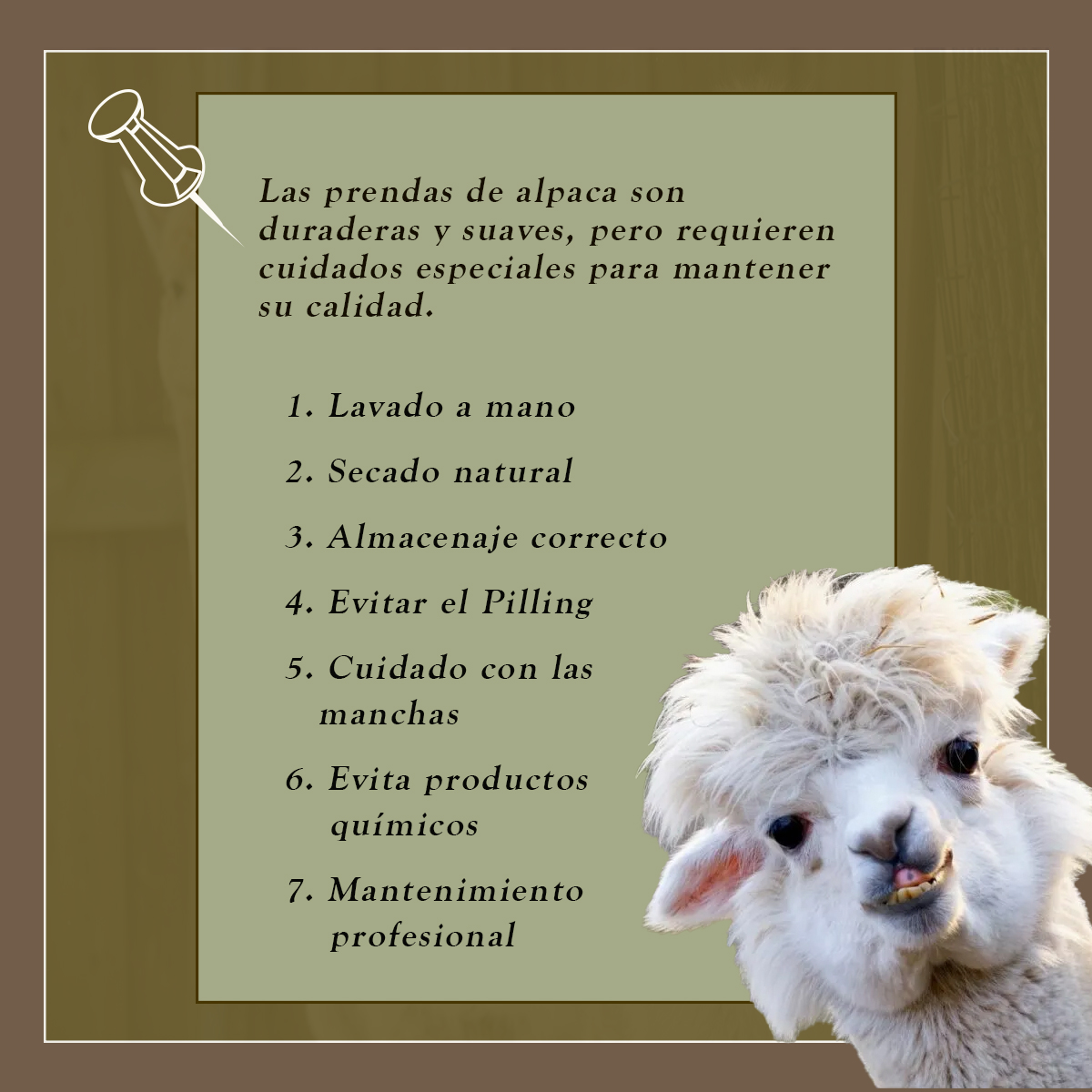 Qompi - ¿𝐒𝐚𝐛í𝐚𝐬 𝐪𝐮𝐞 𝐥𝐚 𝐟𝐢𝐛𝐫𝐚 𝐝𝐞 𝐚𝐥𝐩𝐚𝐜𝐚 𝐞𝐬𝐭á 𝐜𝐨𝐦𝐩𝐮𝐞𝐬𝐭𝐚 𝐩𝐫𝐢𝐧𝐜𝐢𝐩𝐚𝐥𝐦𝐞𝐧𝐭𝐞 𝐝𝐞 ...
