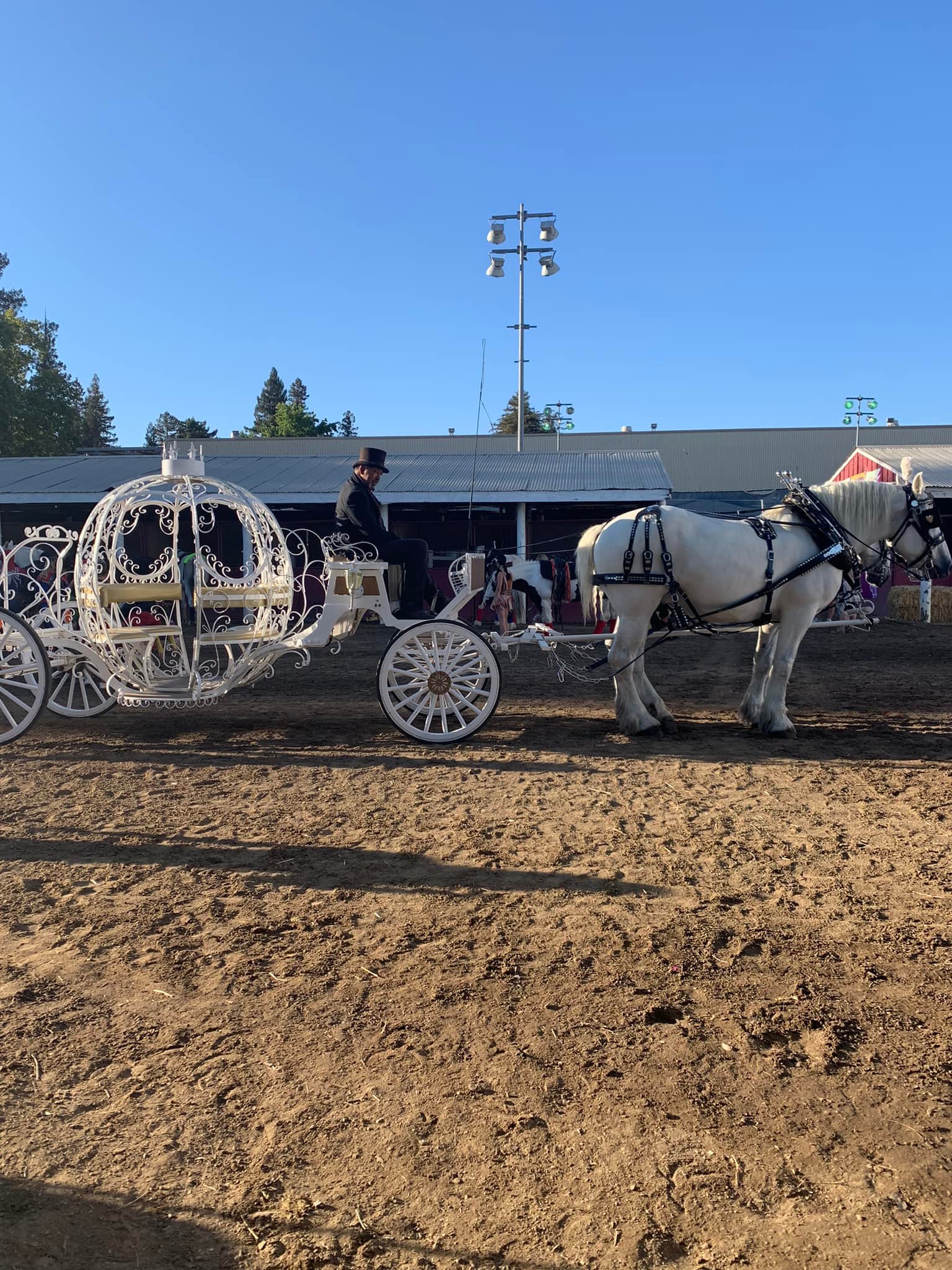 CA. State Fair HORSE... - CA. State Fair HORSE ARENA 2022