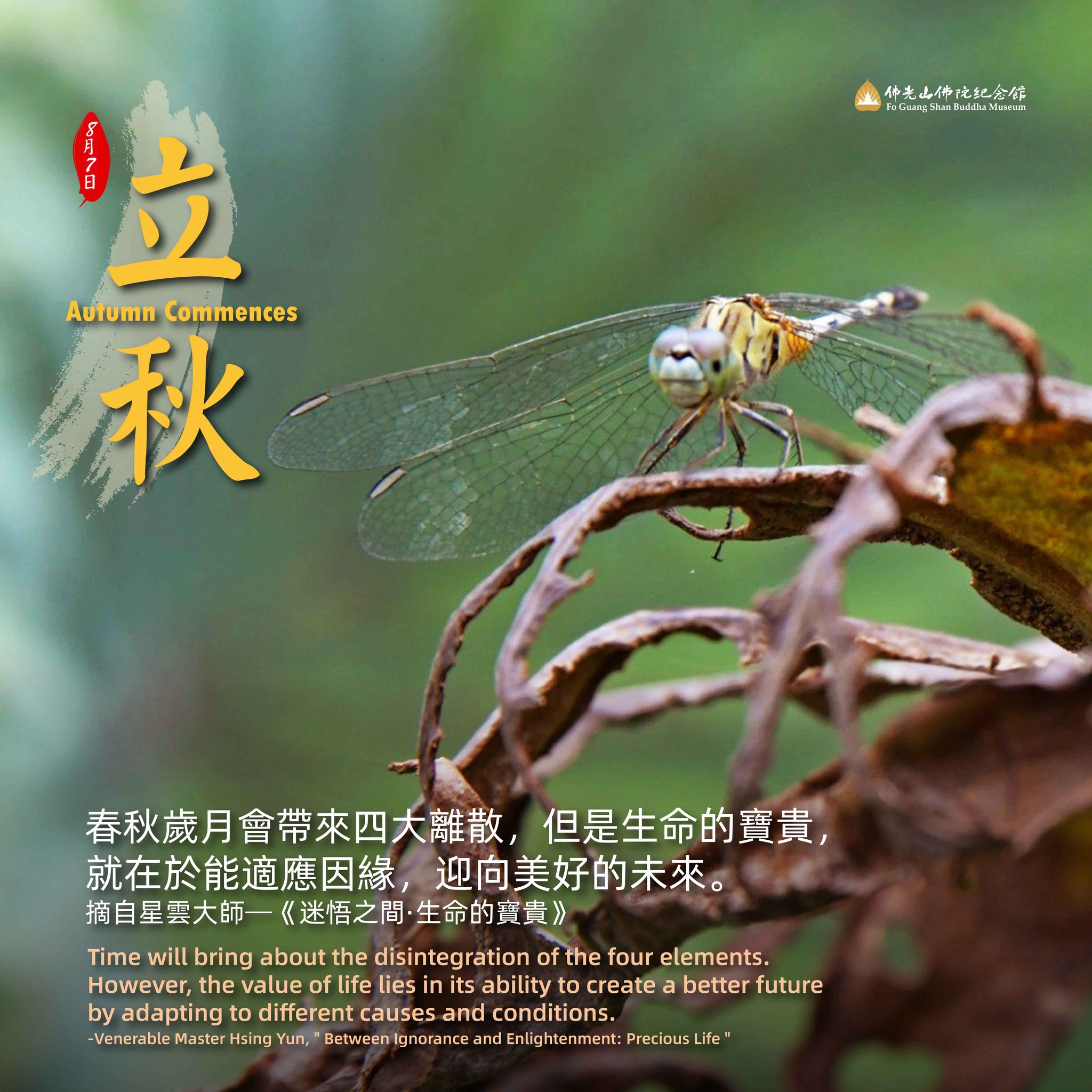 披襟有餘涼，拂簟無纖埃。落葉便是立秋時！... - 佛光山佛陀紀念館 Fo Guang Shan Buddha Museum | Facebook