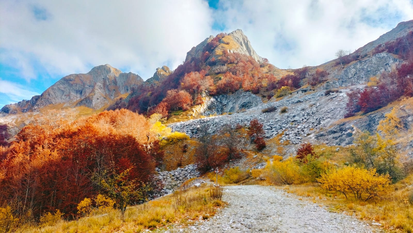 Orto Botanico delle Alpi Apuane - Primissime fioriture del 2016 nell ...