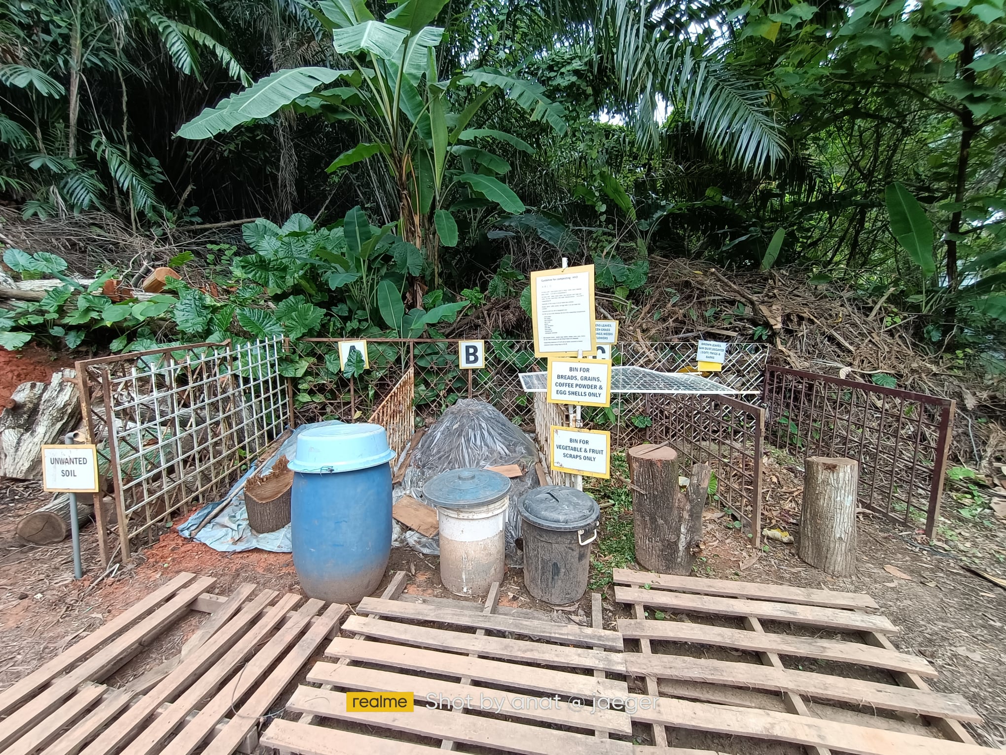 Do you know that dividing your waste accordingly can help you a lot in ...