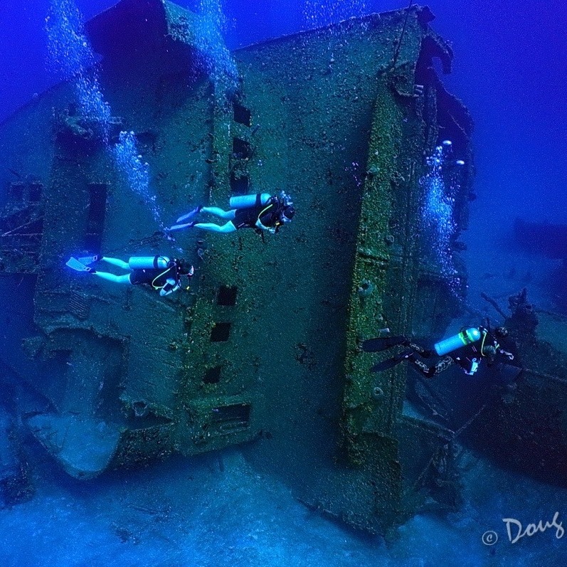 From the boat ride to the underwater encounters and a meal shared with ...