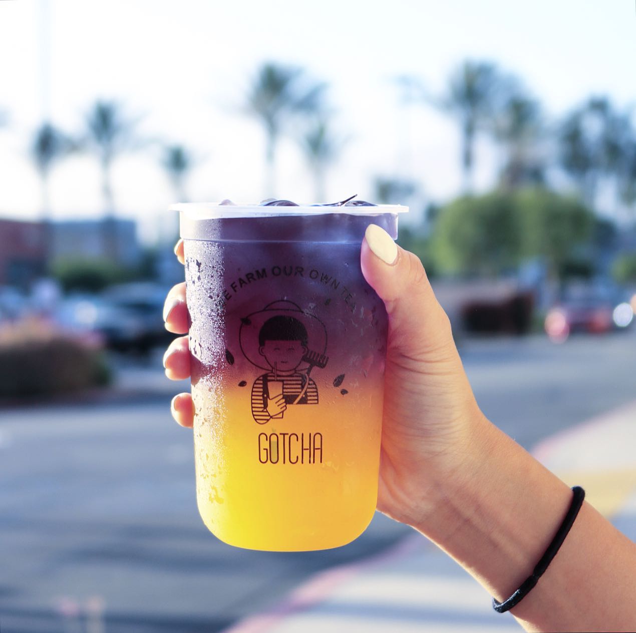 Gotcha - ‼️ TAG someone who loves aesthetic drinks 😍 top off any fruit ...