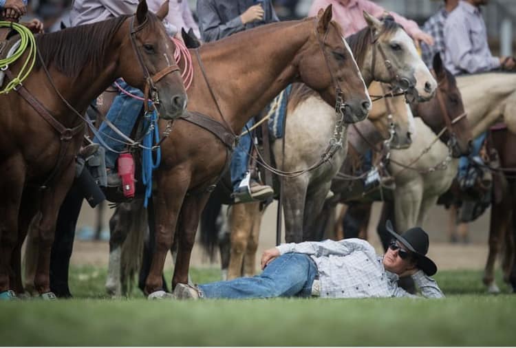 Santa Fe Team Roping Co. | Cuauhtémoc Municipality