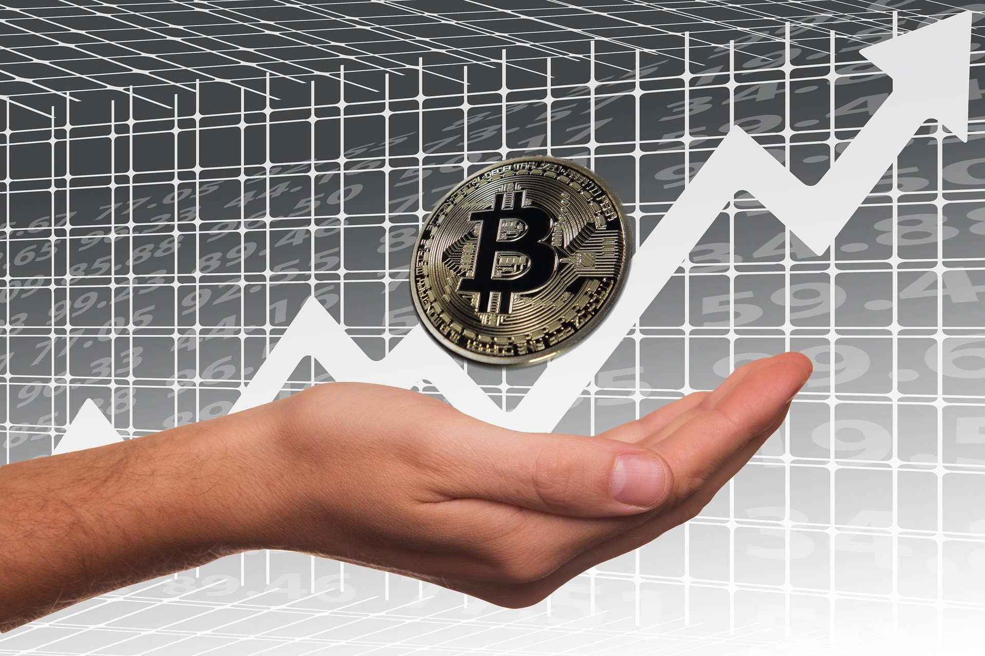 Pro Coin Market | Warsaw