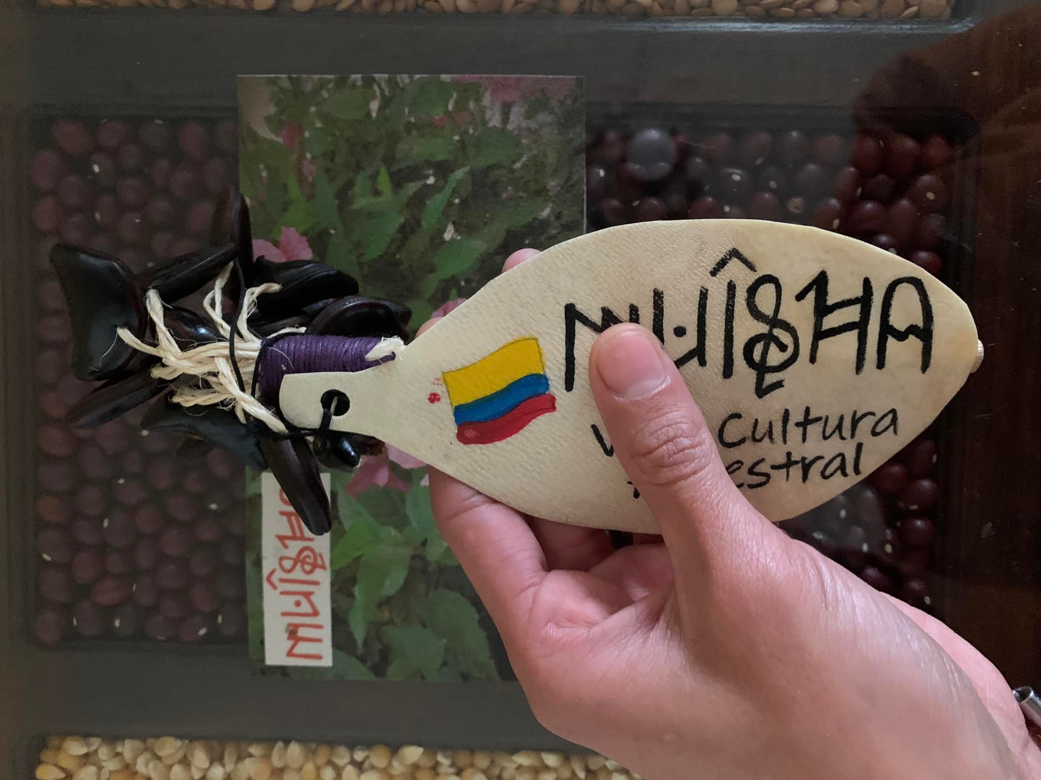 Hola amigos compartimos tres de... - Muisha Instrumentos