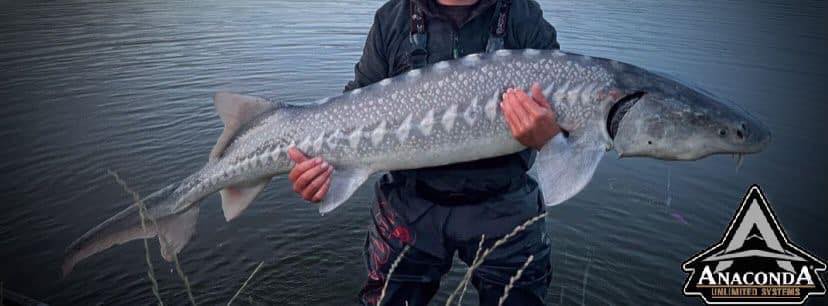 Baitshop DK | Lunderskov
