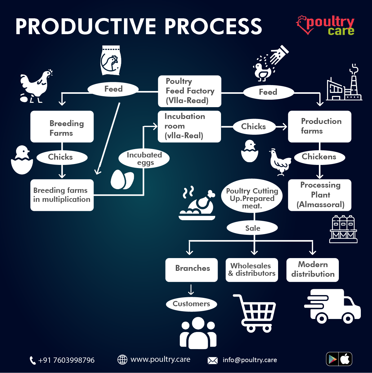 PoultryCare - Productive process @poultryerp #flowchart...