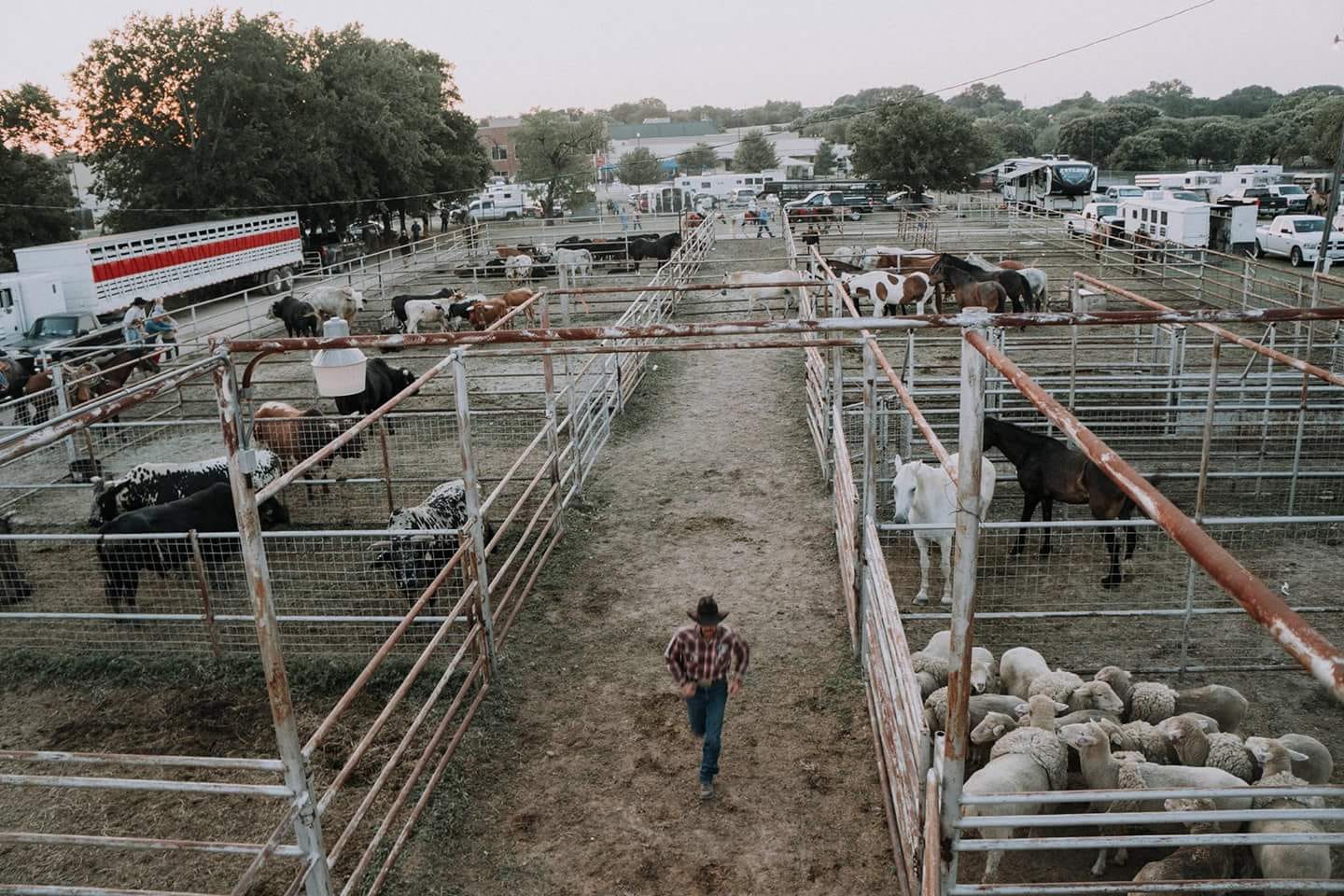 Historic Georgetown... - Historic Georgetown Rodeo and Arena
