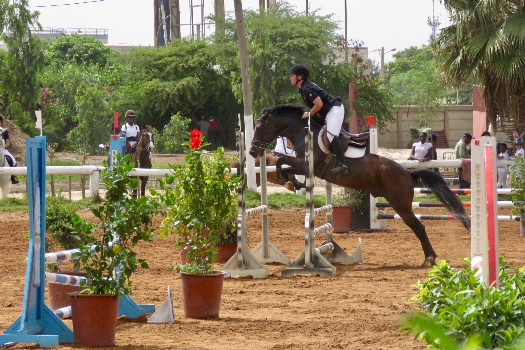 section-equestre-militaire-de-dakar-dakar