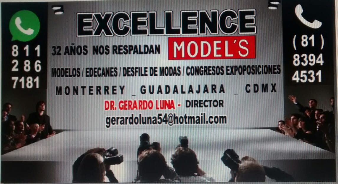 Excellence models