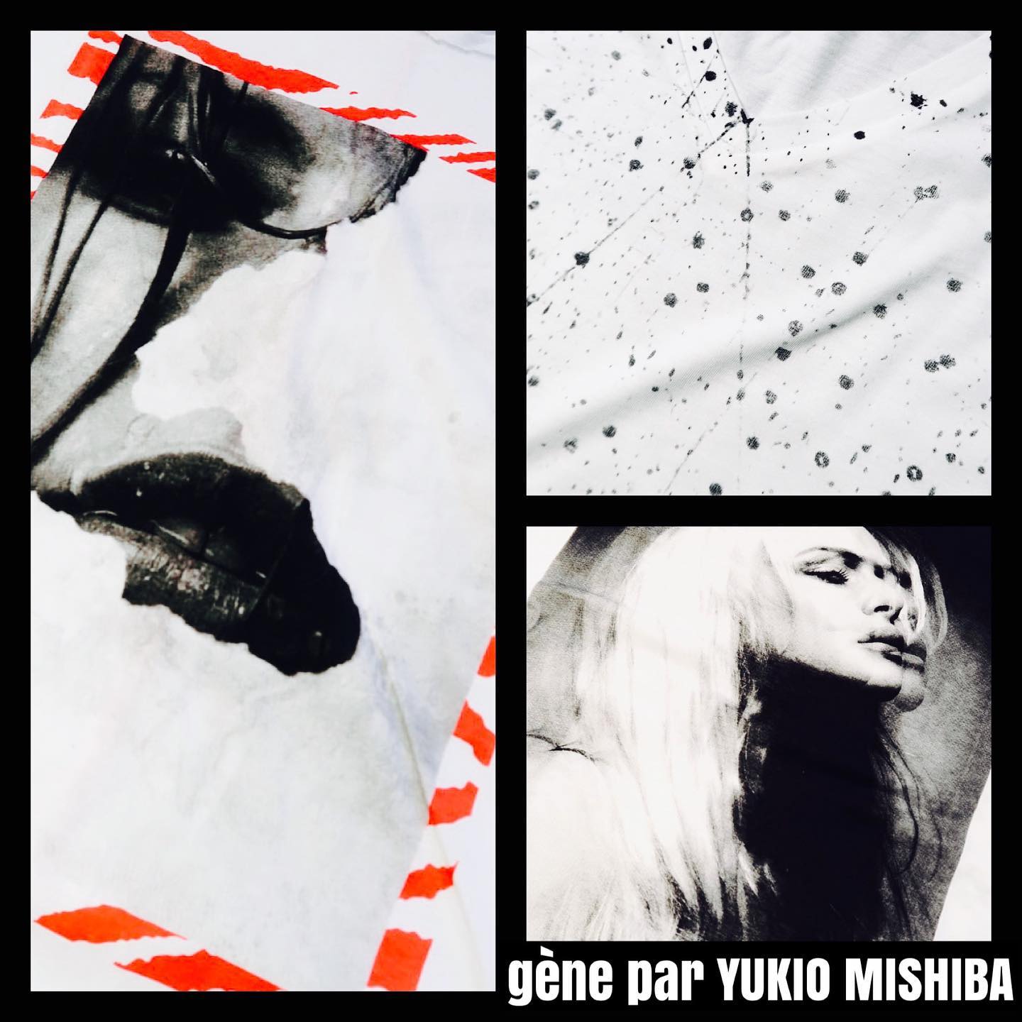 Gene par YUKIO MISHIBA added a... - Gene par YUKIO MISHIBA