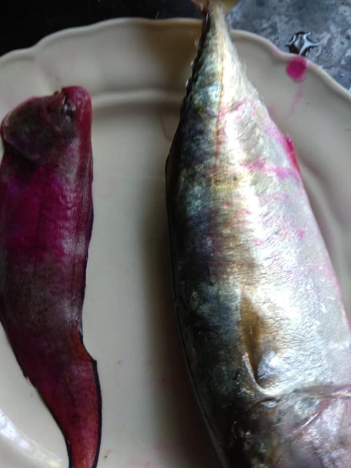 Goa Happenigs | All the fish was bought from local fisherwomen in ...