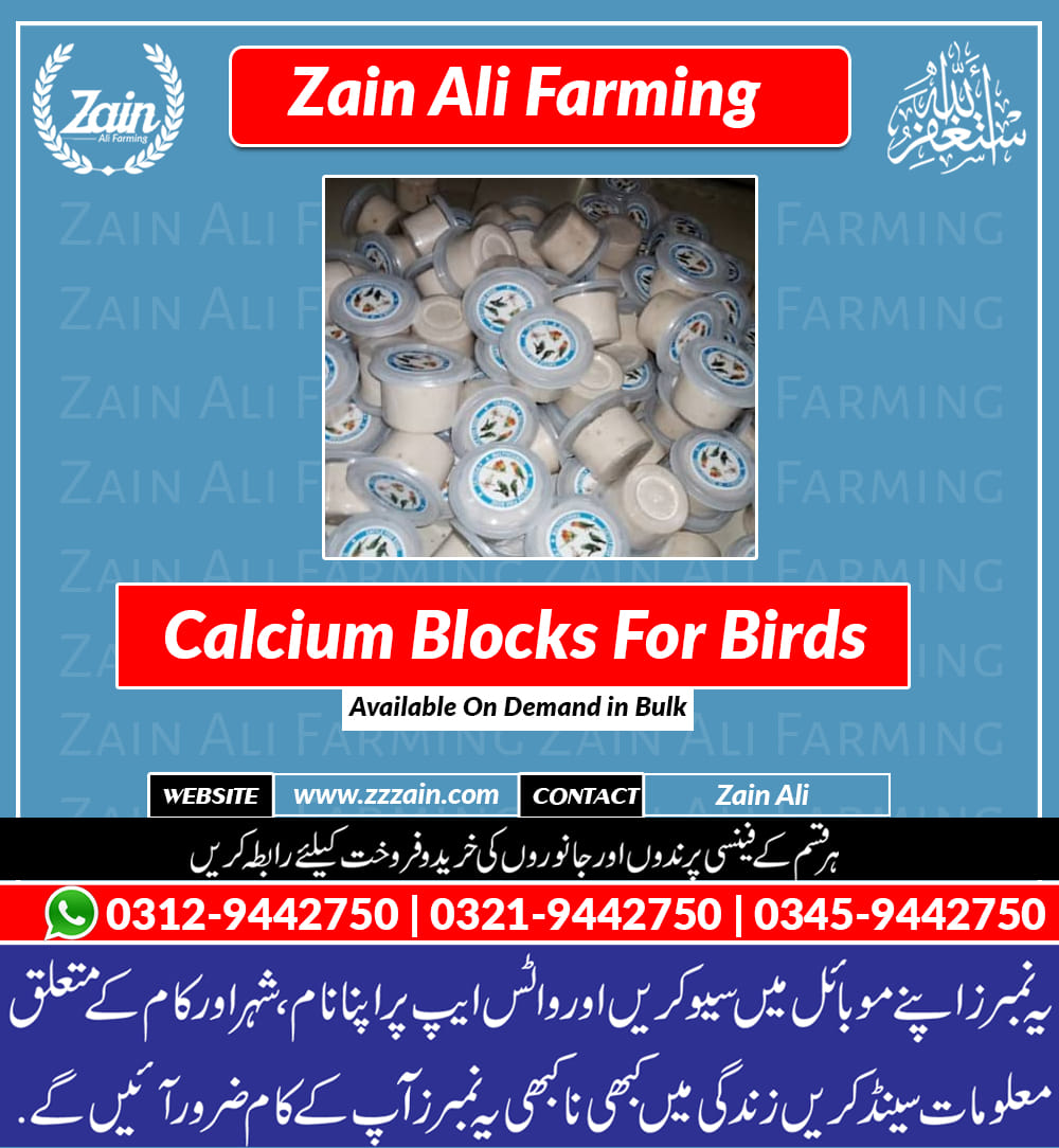 ( Zain Ali Farming ) Calcium Blocks For... - Farming Pakistan