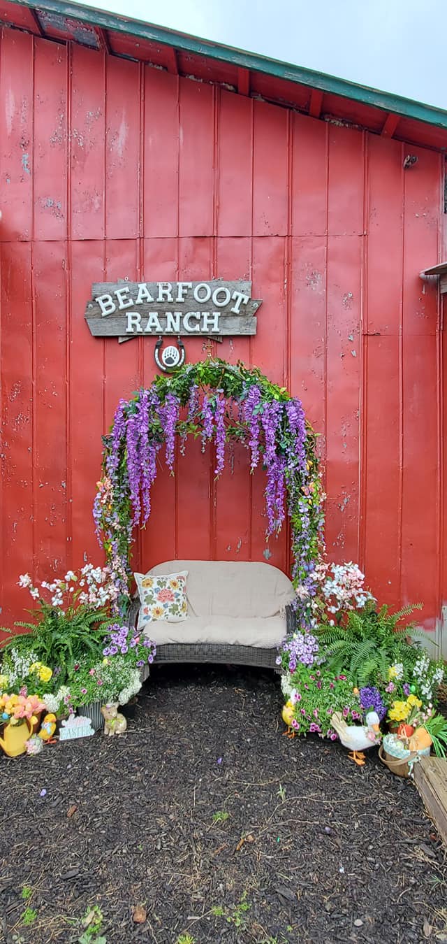 Bearfoot Ranch - You haven't missed us yet. Horse rides,... | Facebook