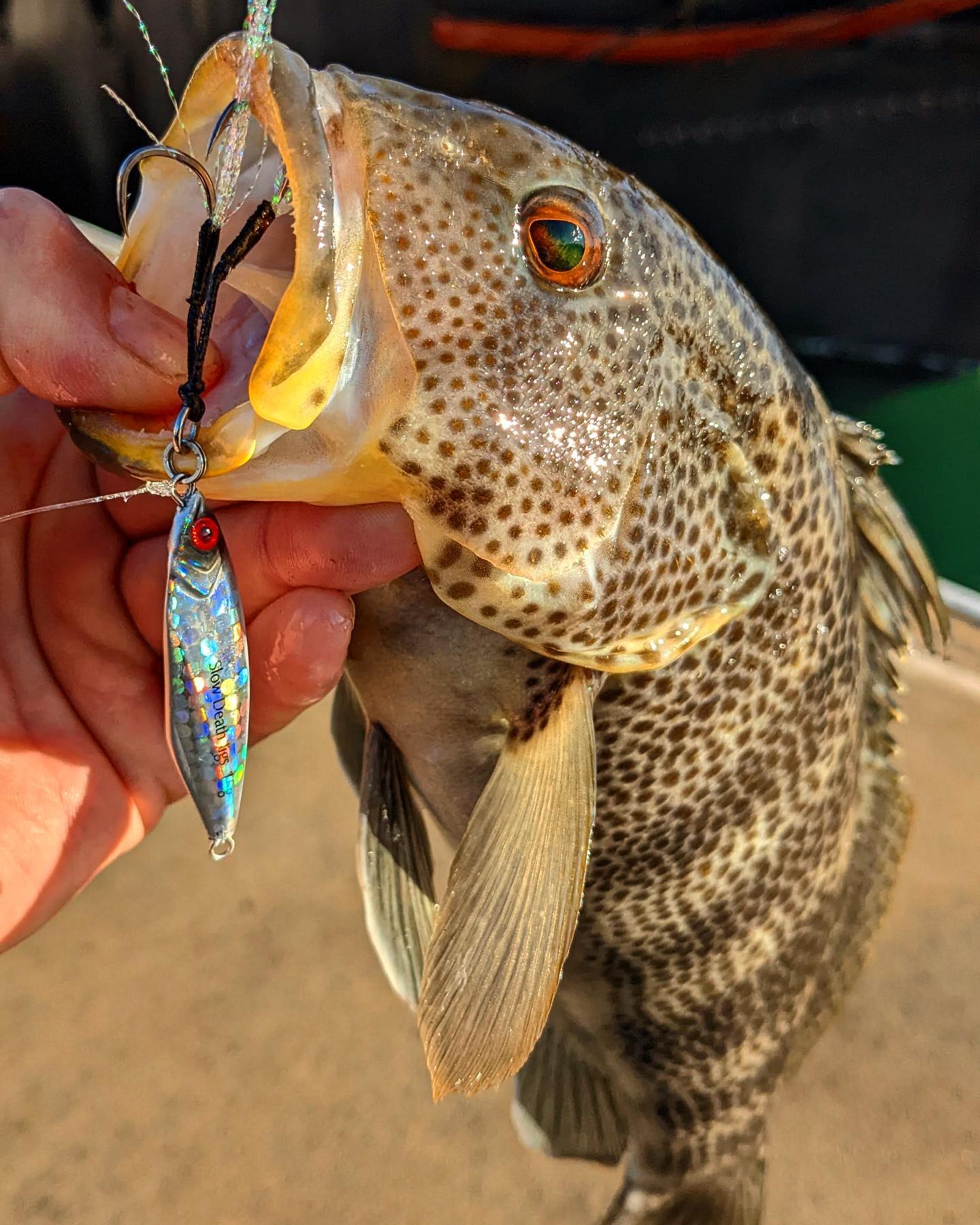 bass lures for rain 4