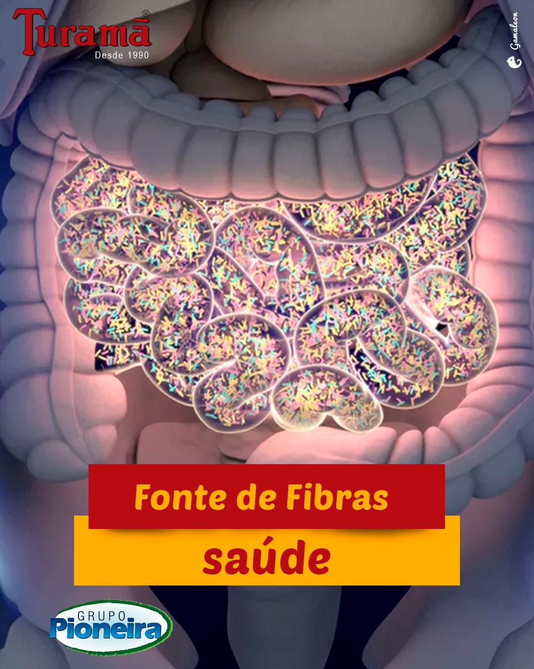 Feijão Turamã - Excelente fonte de fibras, feijão favorece... | Facebook