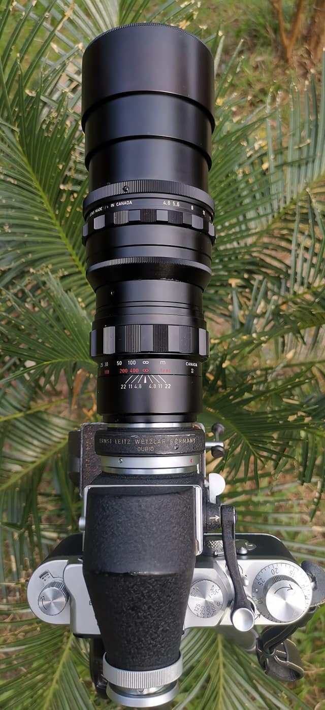 Leica IIIG with Visoflex and Telyt 280mm lens