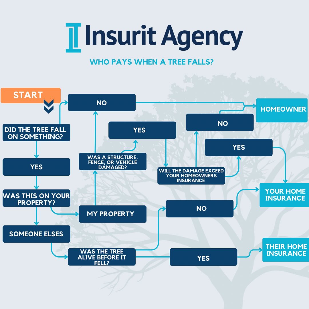 Insurit Agency | Grand Rapids MI