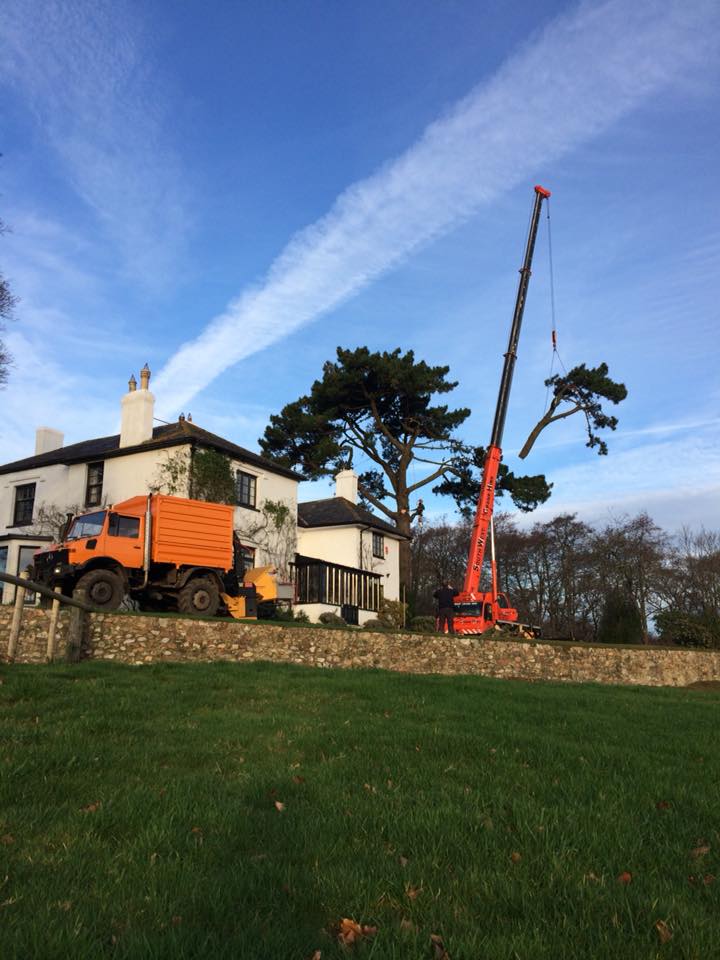 J. Mair Contracting | Colyton