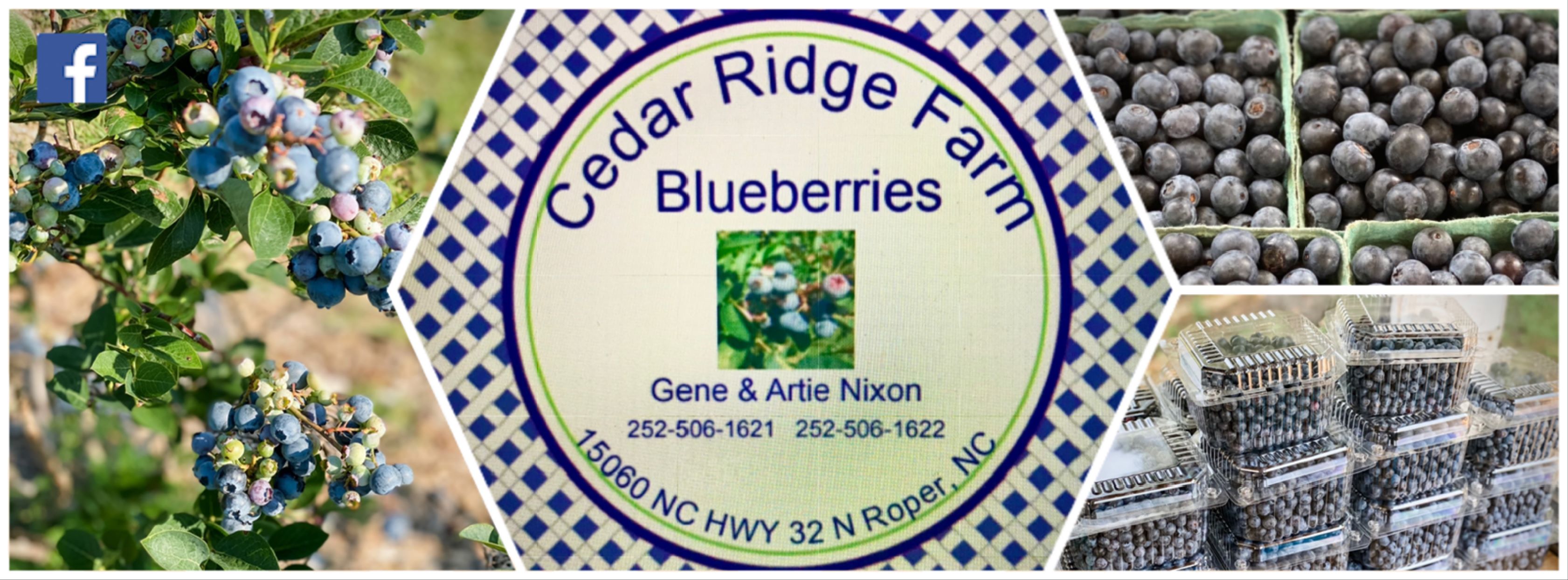 Cedar Ridge Blueberries