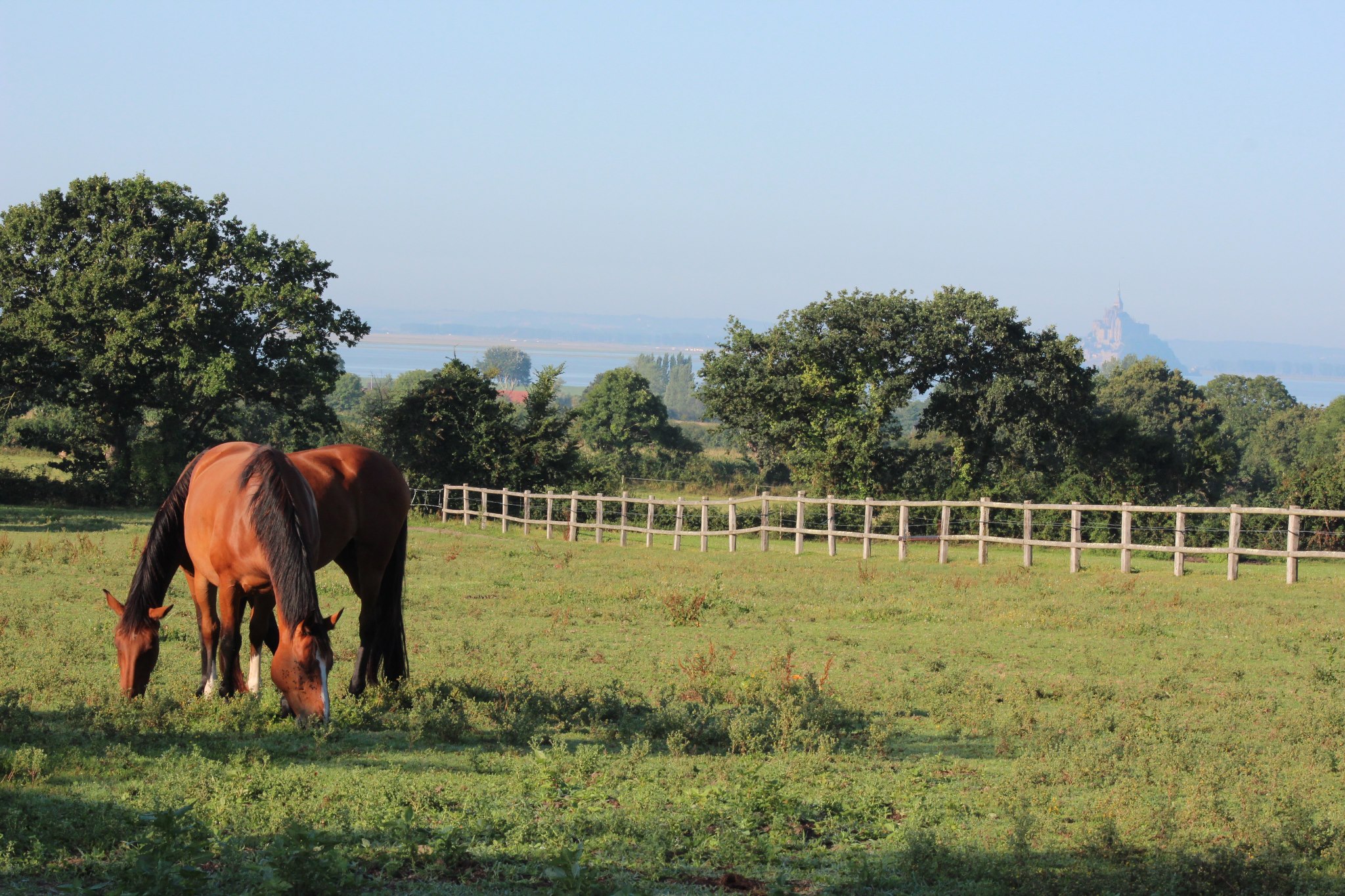 Normandie Terre de Cheval... - Normandie Terre de Cheval