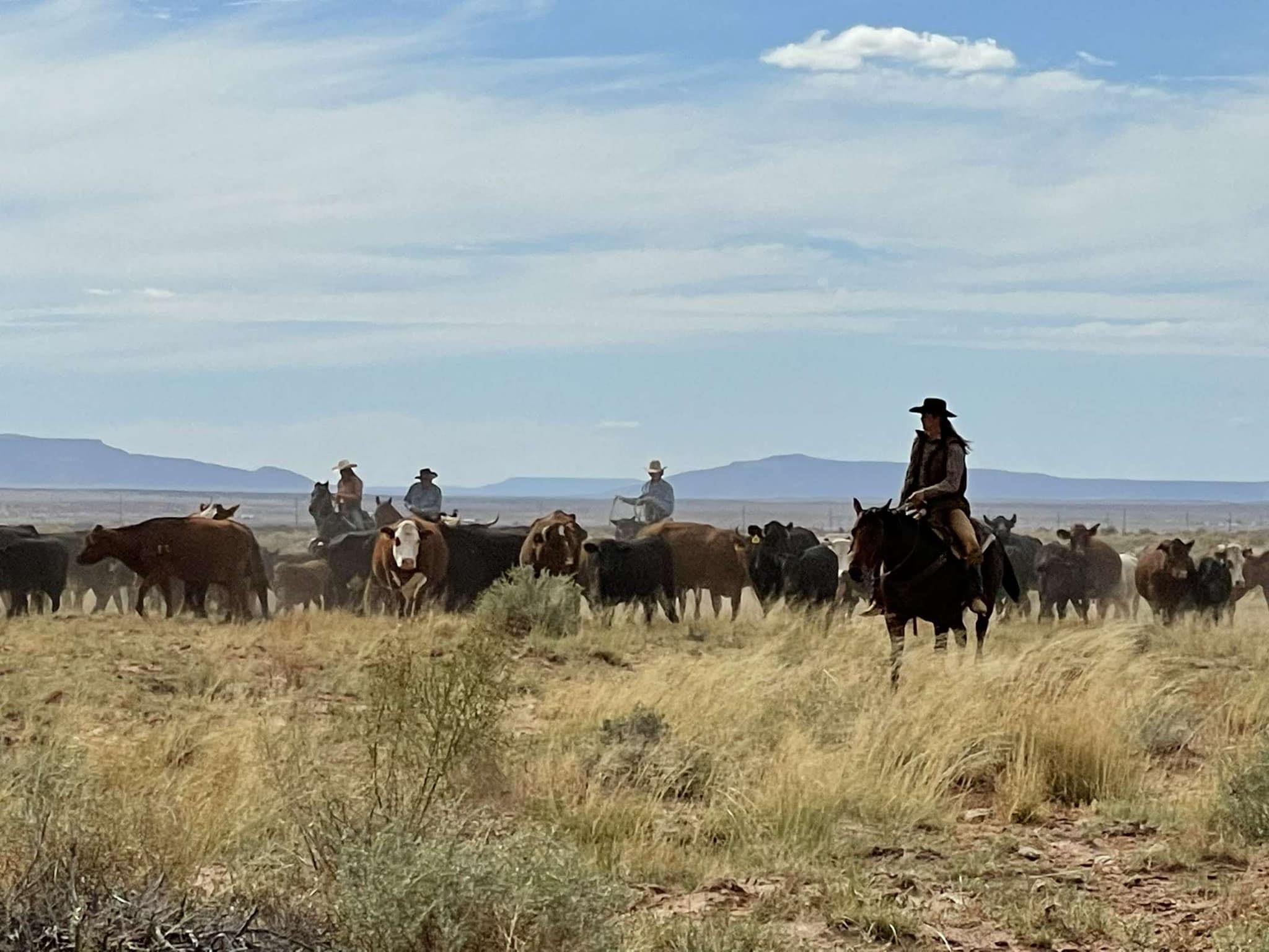 Sky Nine Ranch | Winslow AZ