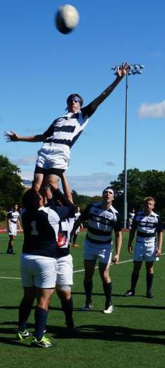 Brandeis Men's Rugby - Home