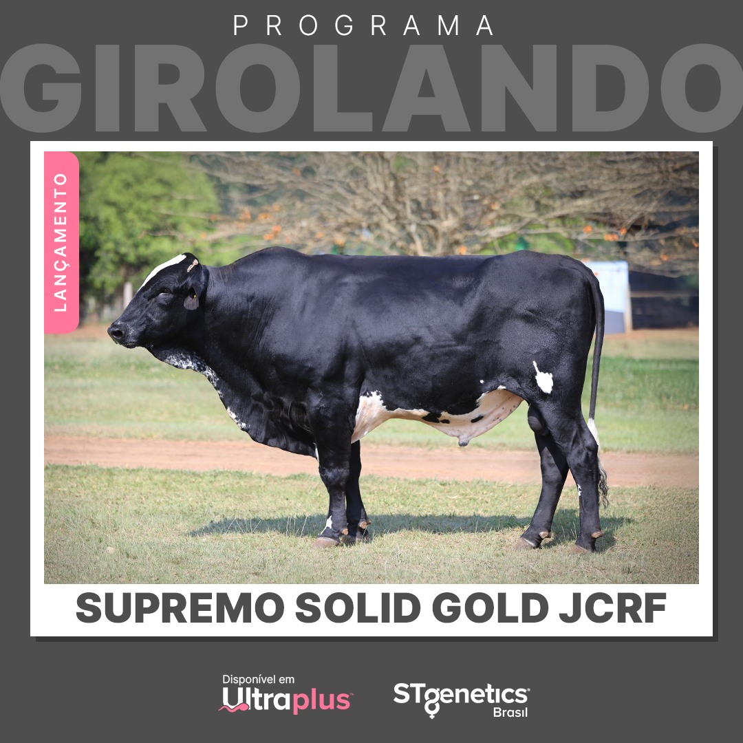 STgenetics - Lançamento do Programa Girolando da STgenetics Brasil ...