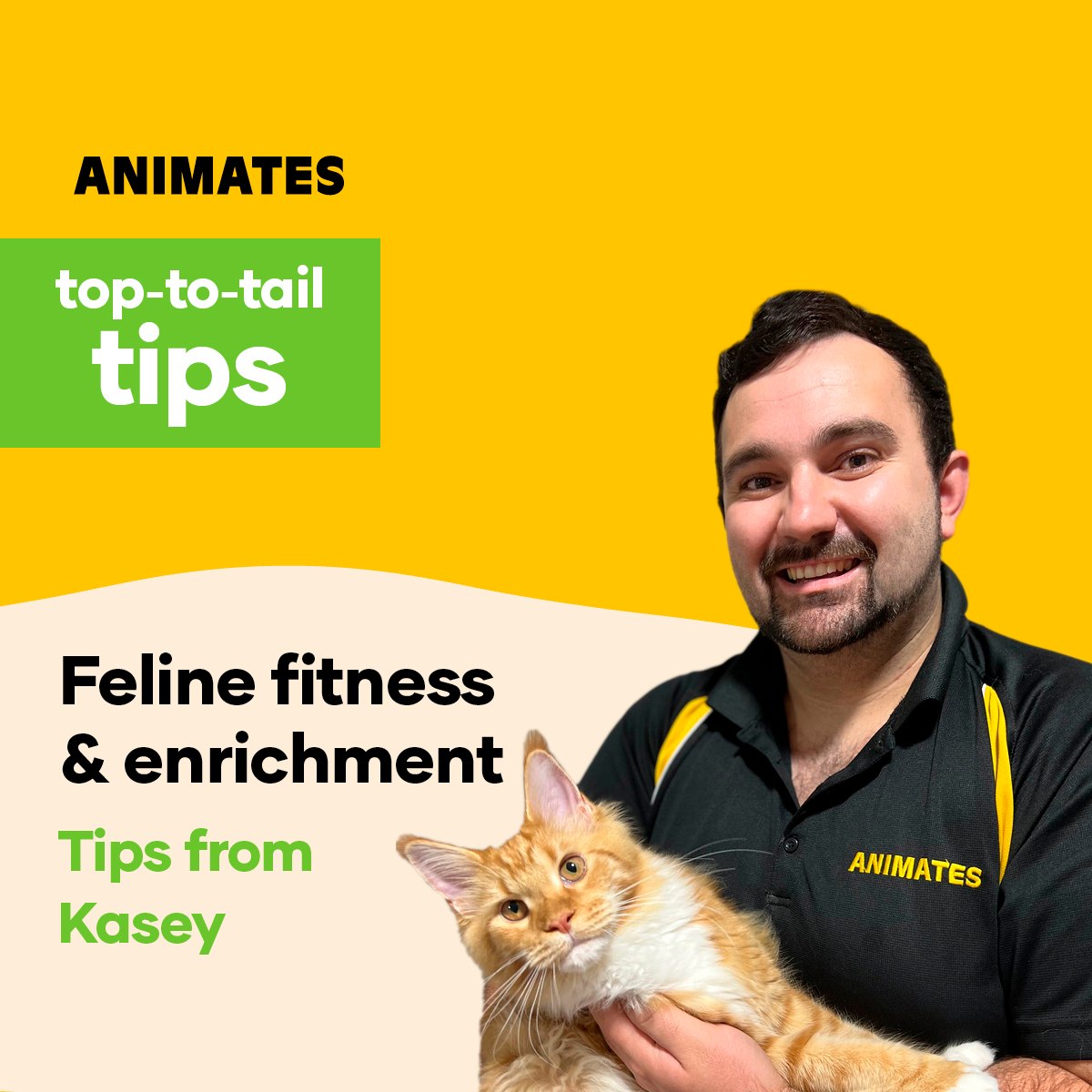 Just like dogs, our feline friends... - Animates Vetcare NZ | Facebook