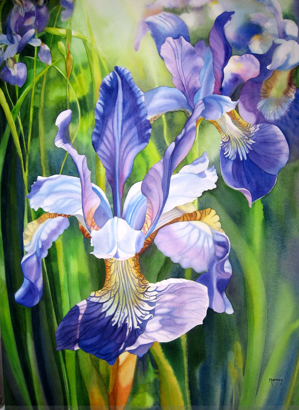 美術品・アンティーク・コレクション 英国 Olga Powell 水彩画「IRIS