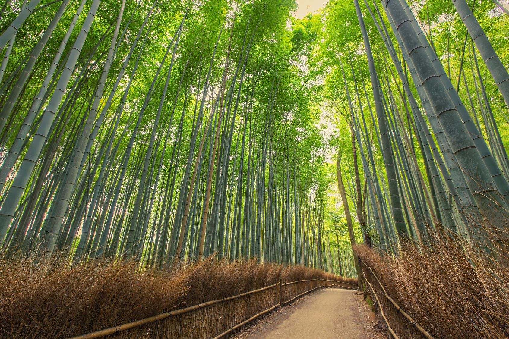 WellPath Acupuncture & Healing Arts | Cary NC