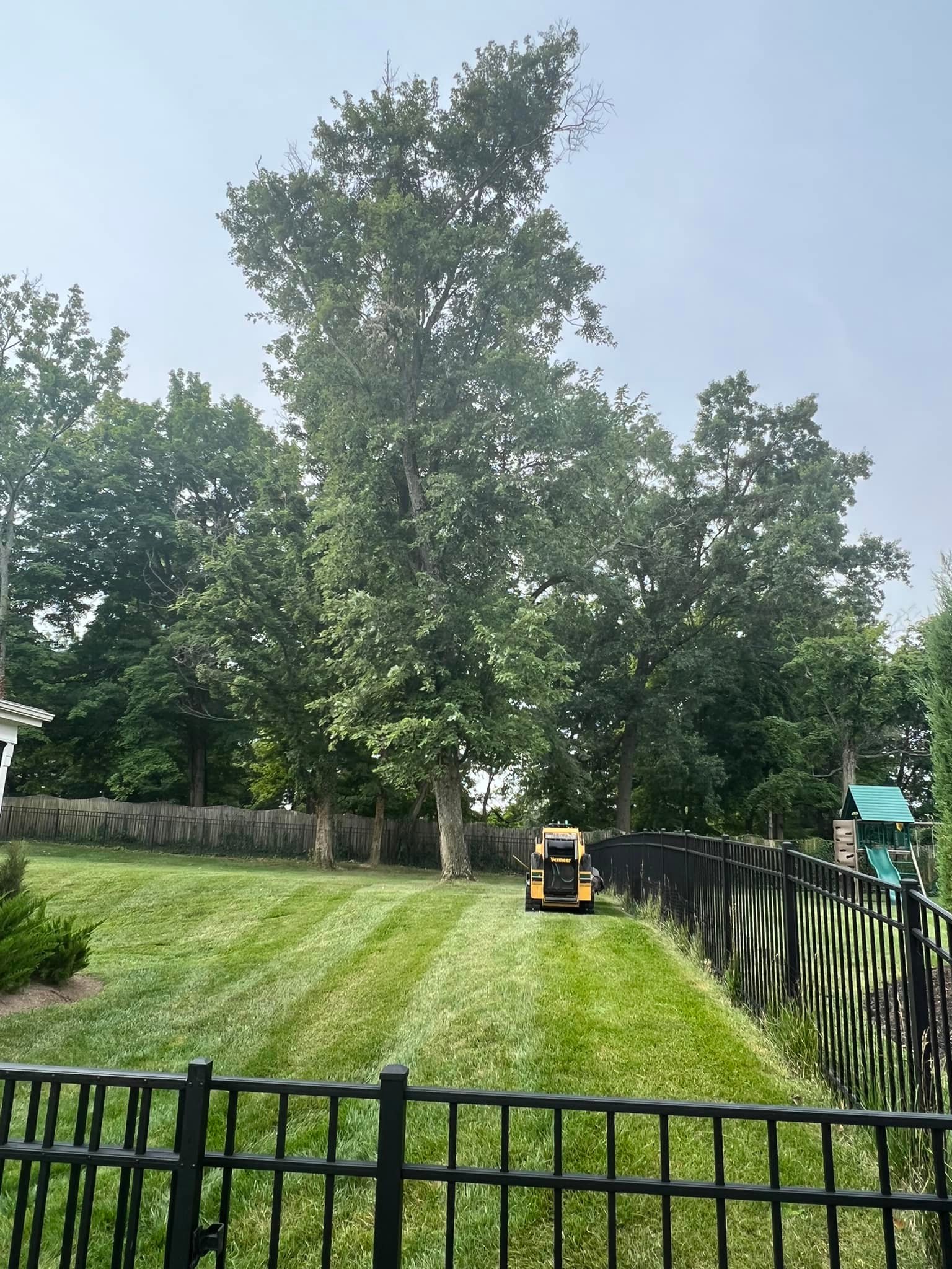 Slatt’s Trees - Slatt’s Trees added a new photo.