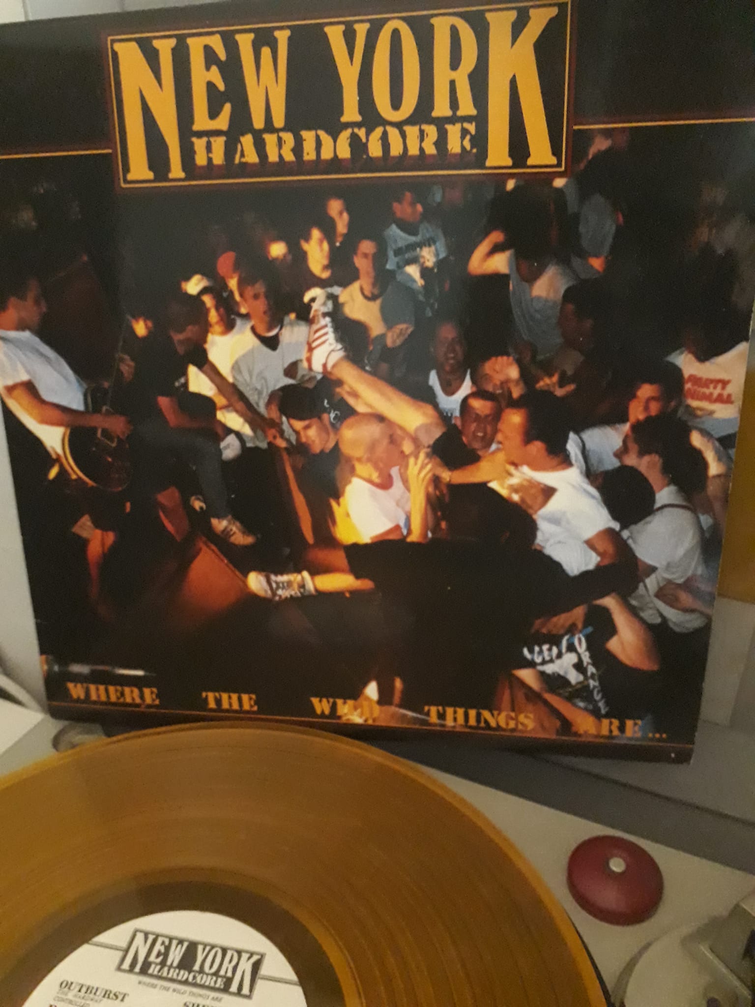 New York Hardcore Chronicles Volumes 1 and 2 available now