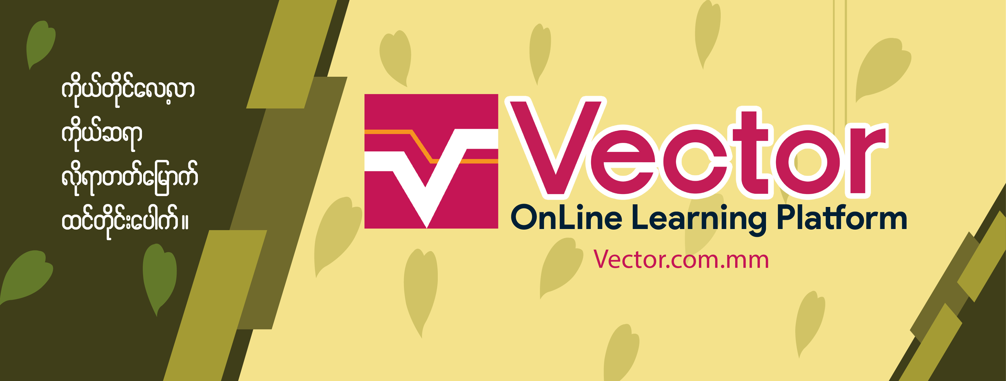 Vector Online Learning Platform