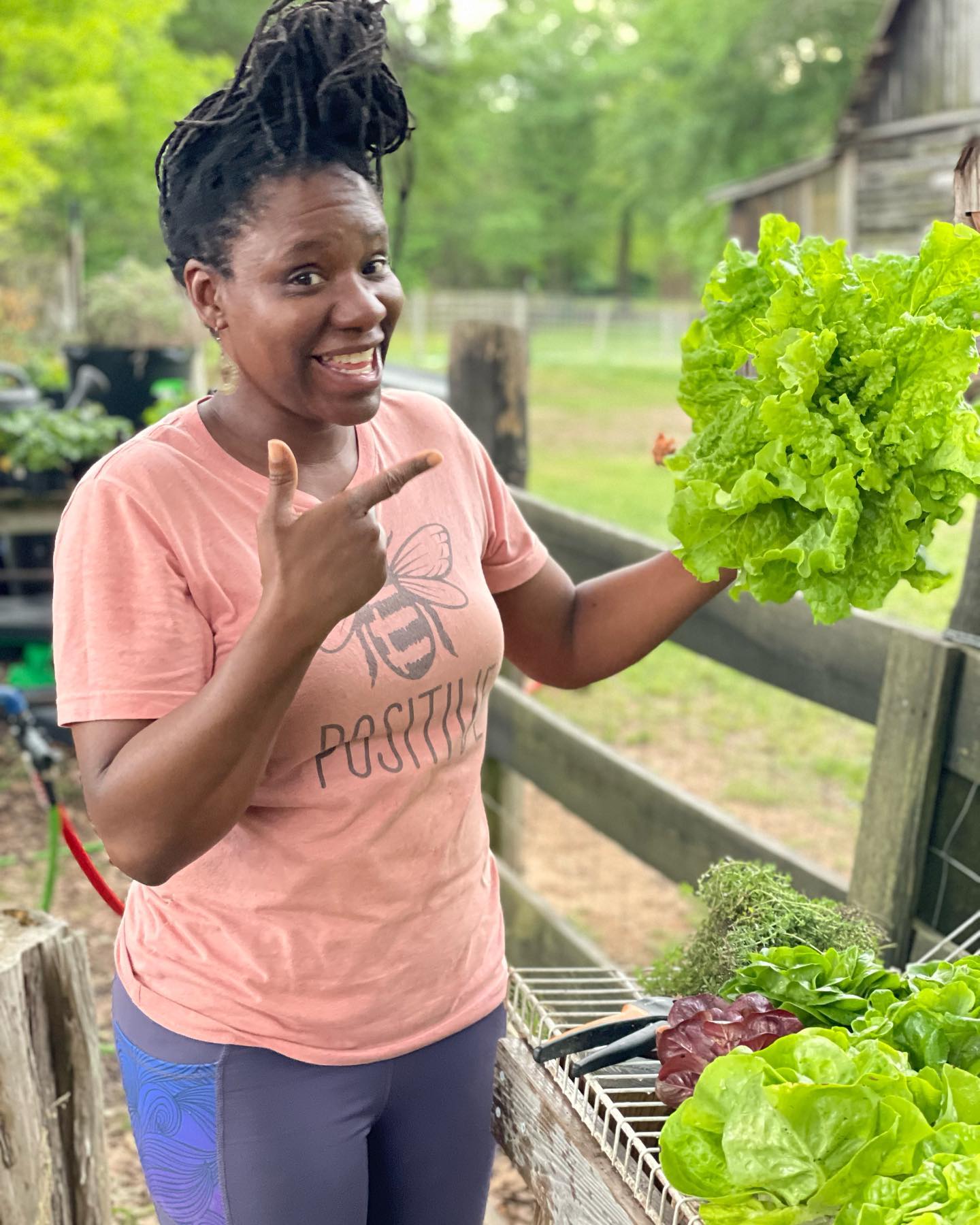 Our lettuce heads are absolutely... - Deep Roots CPS Farm
