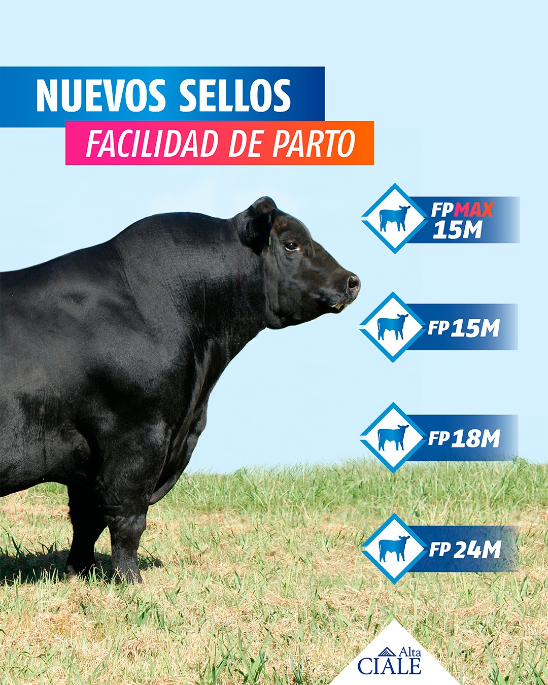 CIALE Alta - La facilidad de parto es una característica...