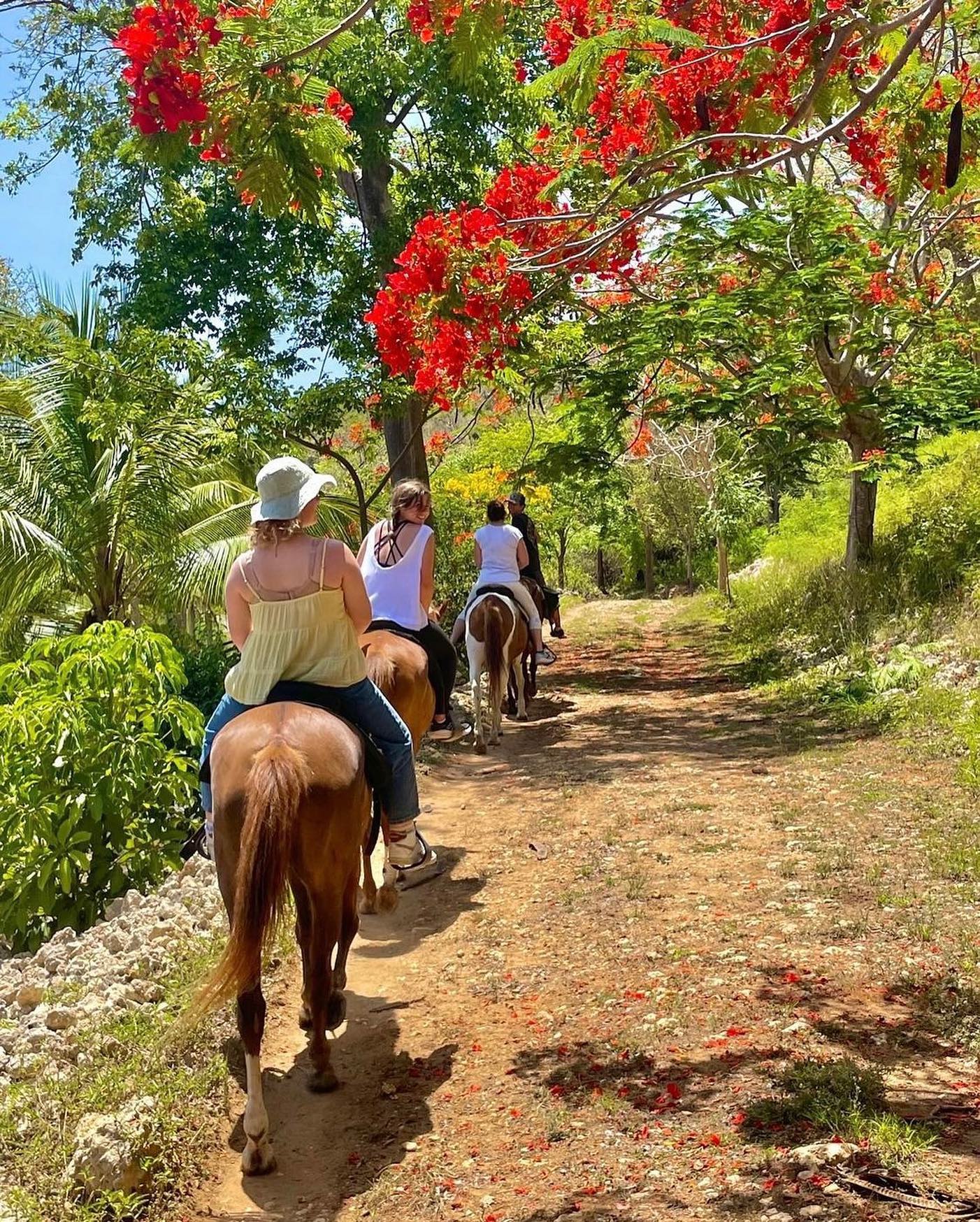 Tropical Trail Rides - Isabela | Jobos