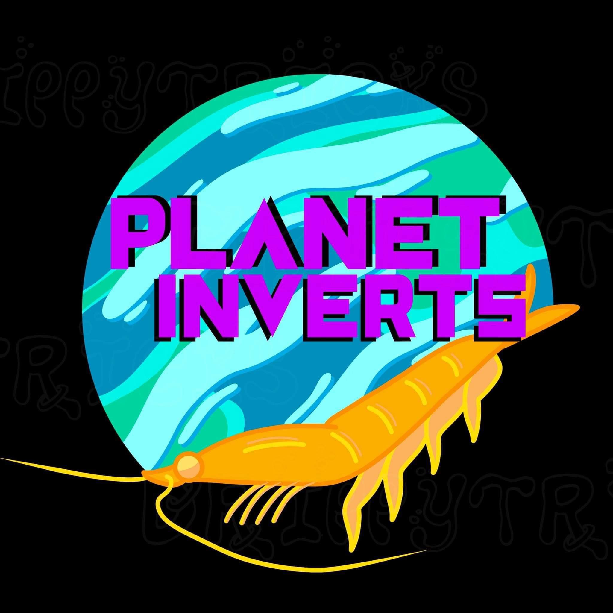 Planet Inverts | Mogadore OH