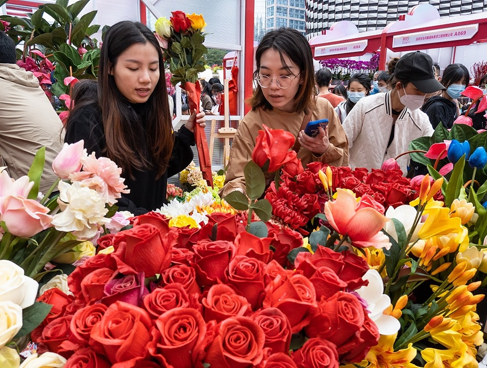 Discover China - The annual #Shenzhen Spring Festival... | Facebook