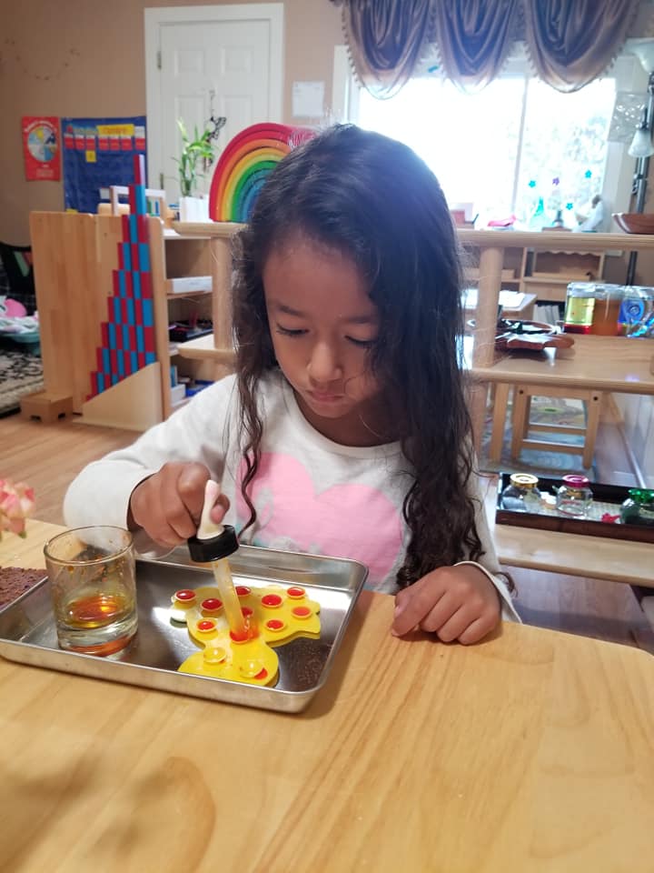 Genesis Montessori | Utha